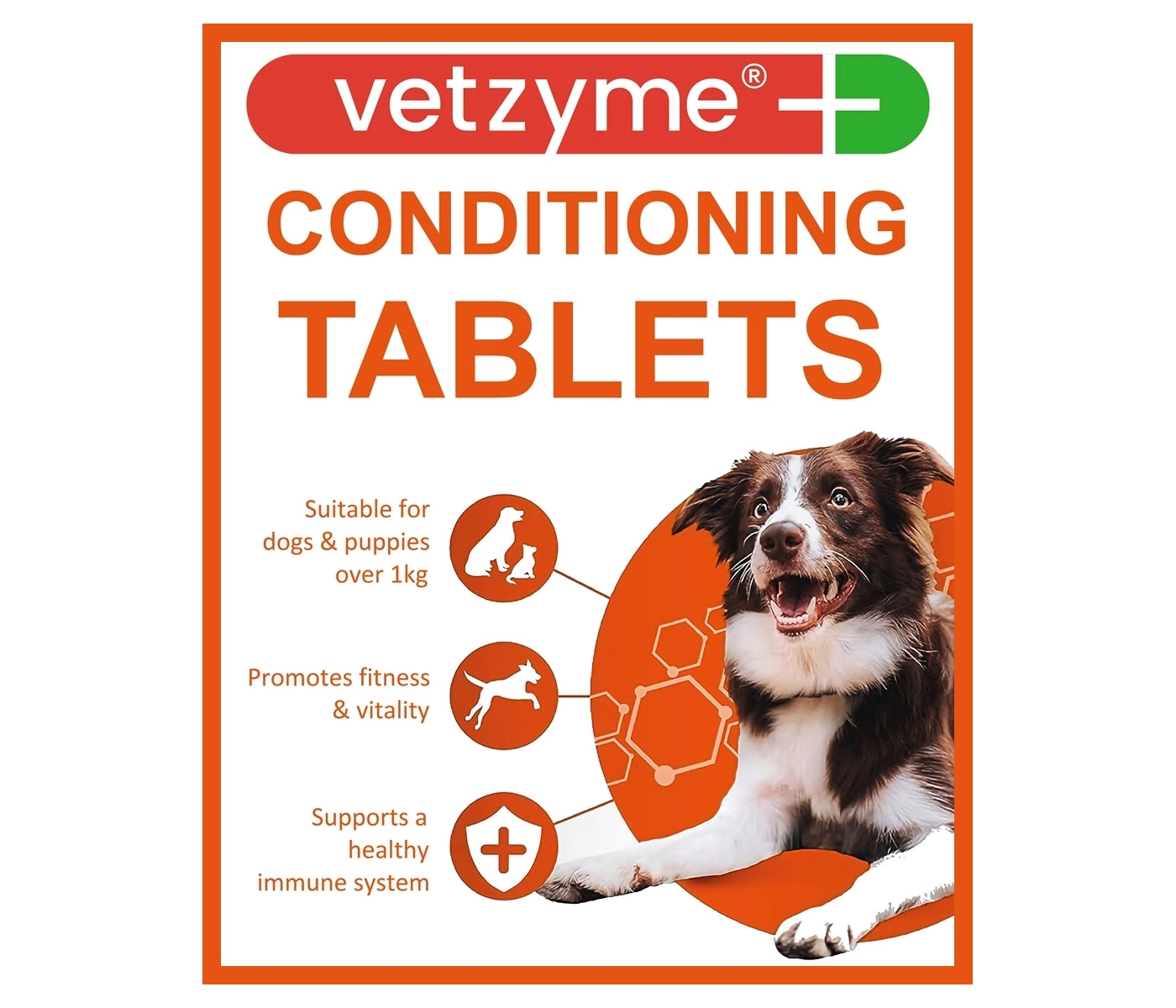 Vetzyme Conditioning Tablets for Dogs - 100 Tablets - Buy Online SPR Centre UK