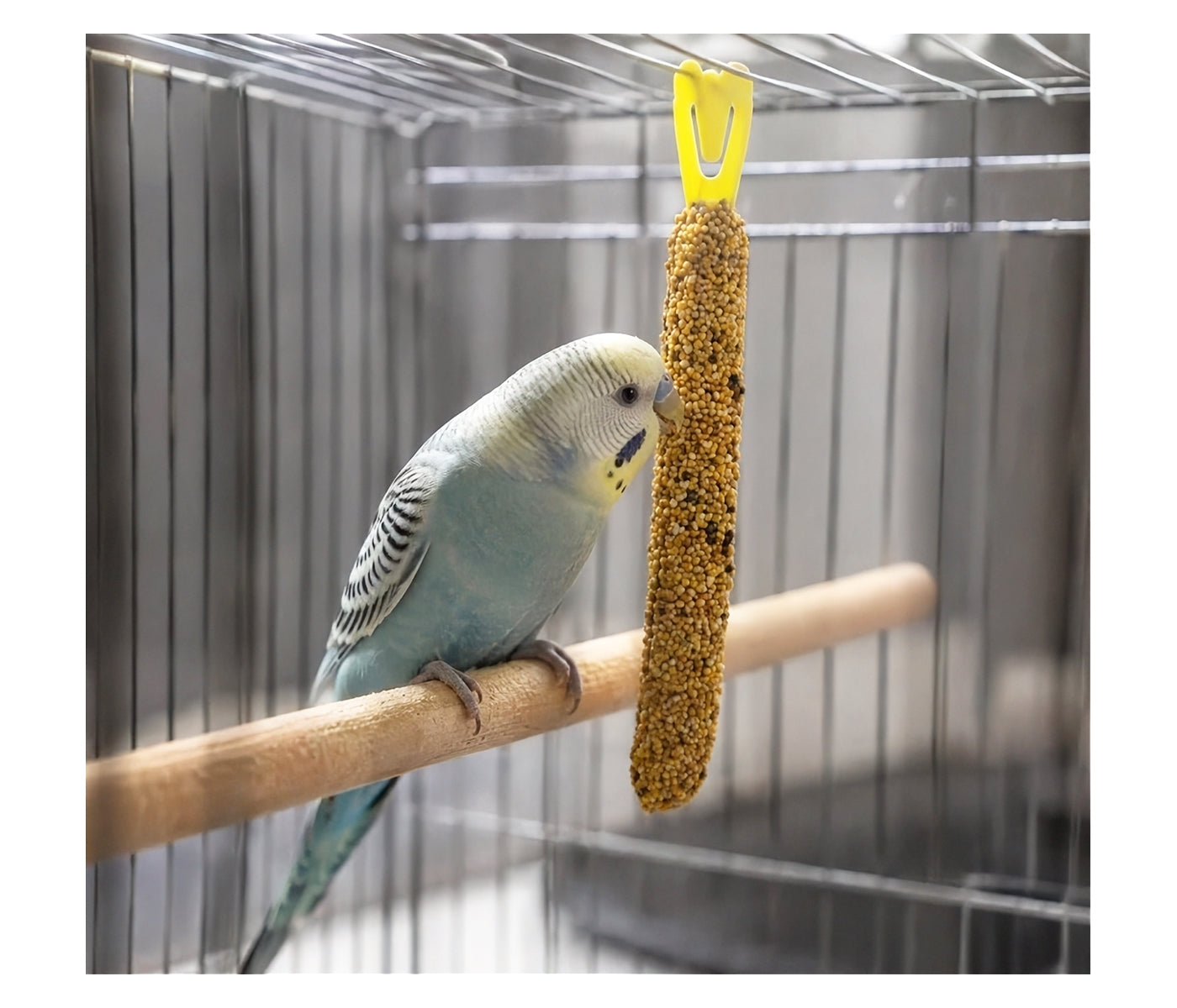 Vitakraft - Budgie Kräcker Trio Mix with Orange, Kiwi & Banana - 3 Pack - Buy Online SPR Centre UK