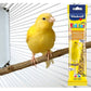 Vitakraft - Canary Kräcker Egg & Grass Seeds Sticks - 2 Pack - Buy Online SPR Centre UK
