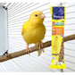 Vitakraft - Canary Kräcker Honey & Sesame Sticks - 2 Pack - Buy Online SPR Centre UK
