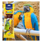 Vitakraft - Parrot Kräcker Honey & Aniseed Sticks - Buy Online SPR Centre UK