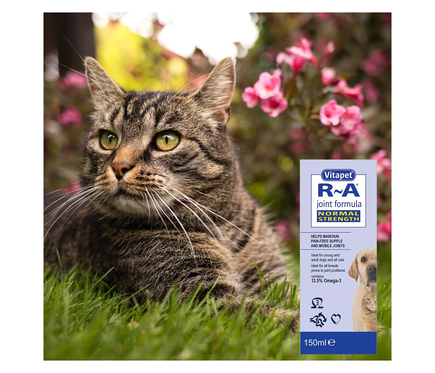 Vitapet R-A Joint Formula for Cats & Dogs (Normal Strength) 150ml - Buy Online SPR Centre UK