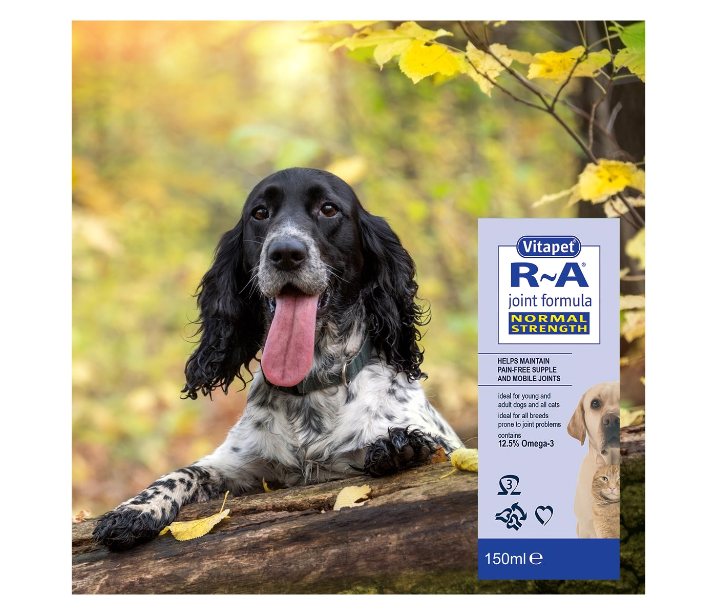 Vitapet R-A Joint Formula for Cats & Dogs (Normal Strength) 150ml - Buy Online SPR Centre UK