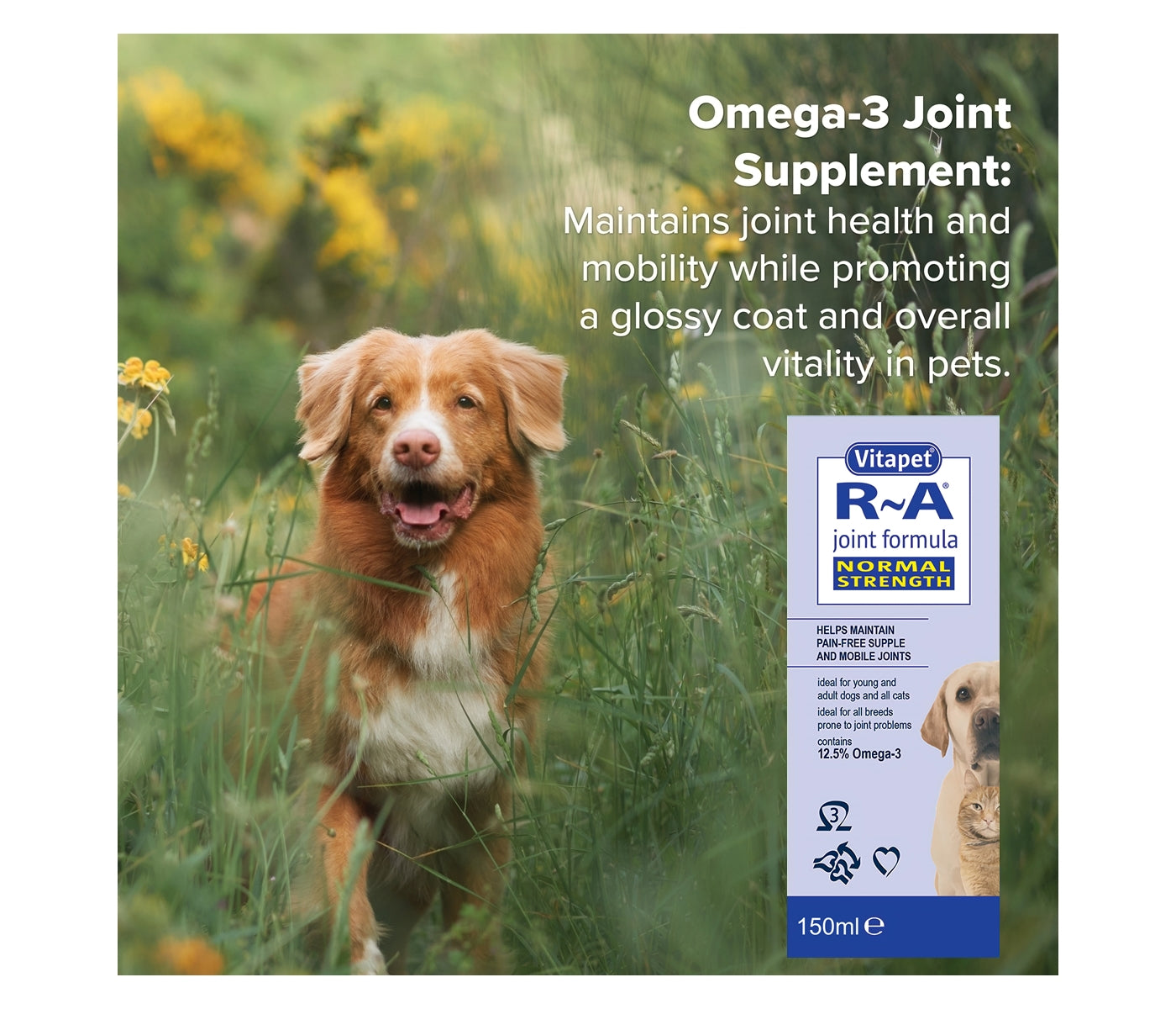 Vitapet R-A Joint Formula for Cats & Dogs (Normal Strength) 150ml - Buy Online SPR Centre UK