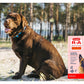 Vitapet - R-A Joint Formula for Dogs (Double Strength) - 400ml