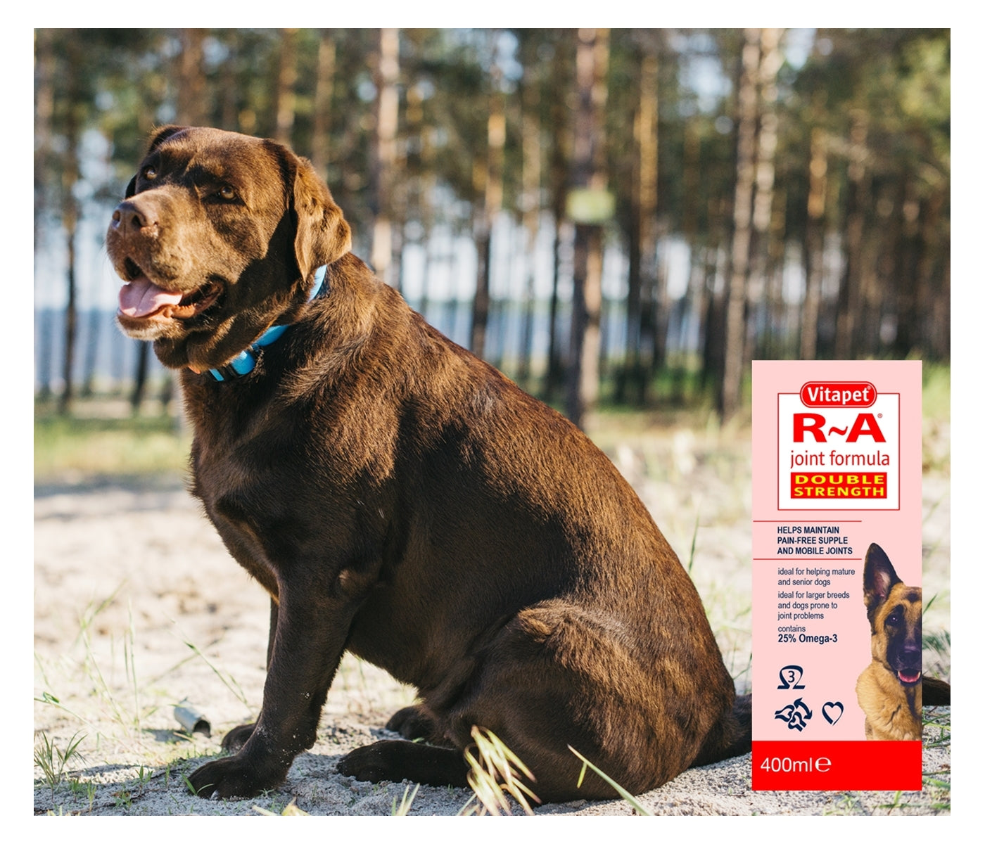 Vitapet - R-A Joint Formula for Dogs (Double Strength) - 400ml