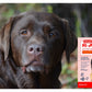 Vitapet - R-A Joint Formula for Dogs (Double Strength) - 400ml
