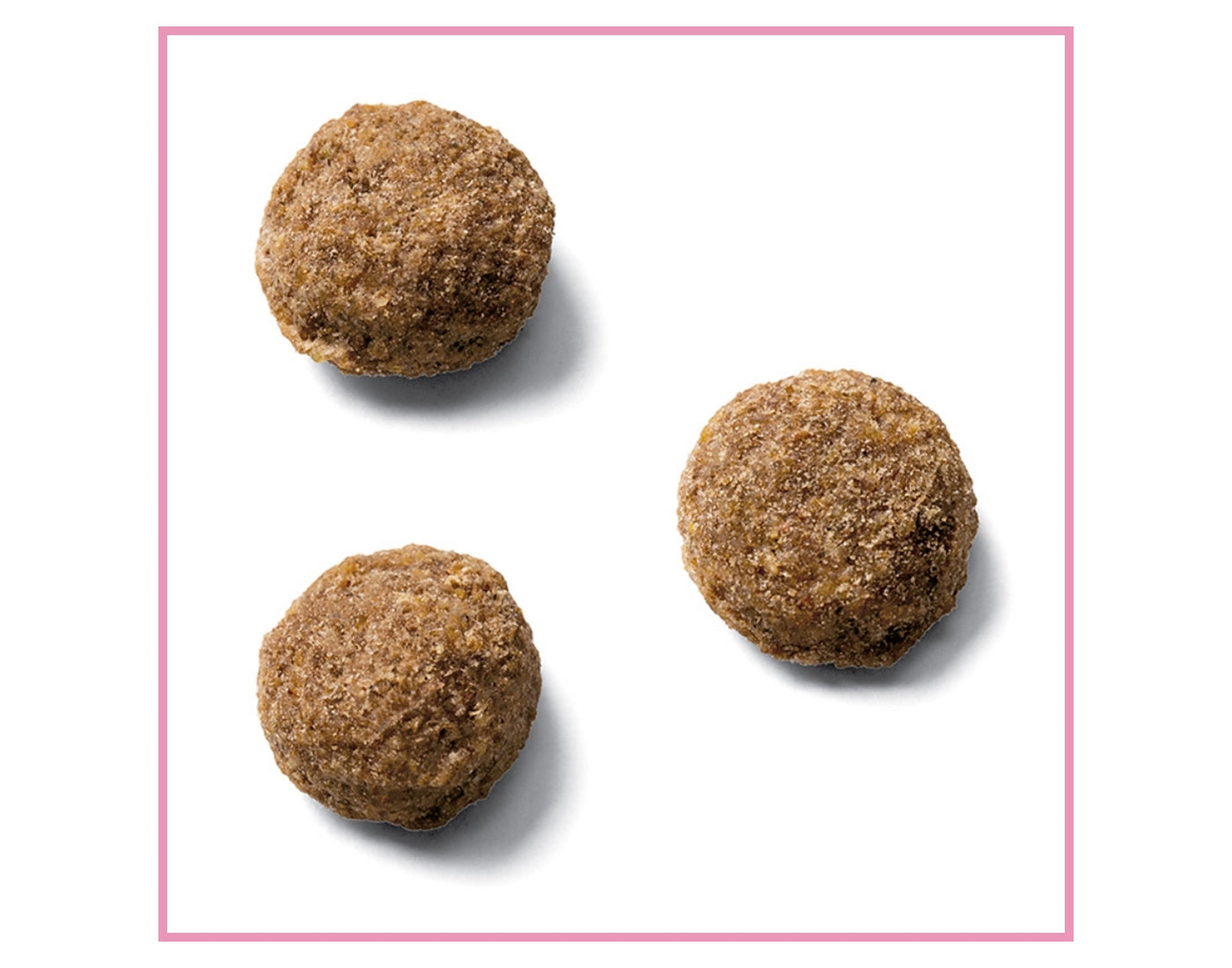 Wagg - Complete Wheat Free Dog Food with Chicken & Rice 2kg - Buy Online SPR Centre UK