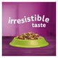 Whiskas - Adult Dry Cat Food with Lamb 1.9kg - Buy Online SPR Centre UK