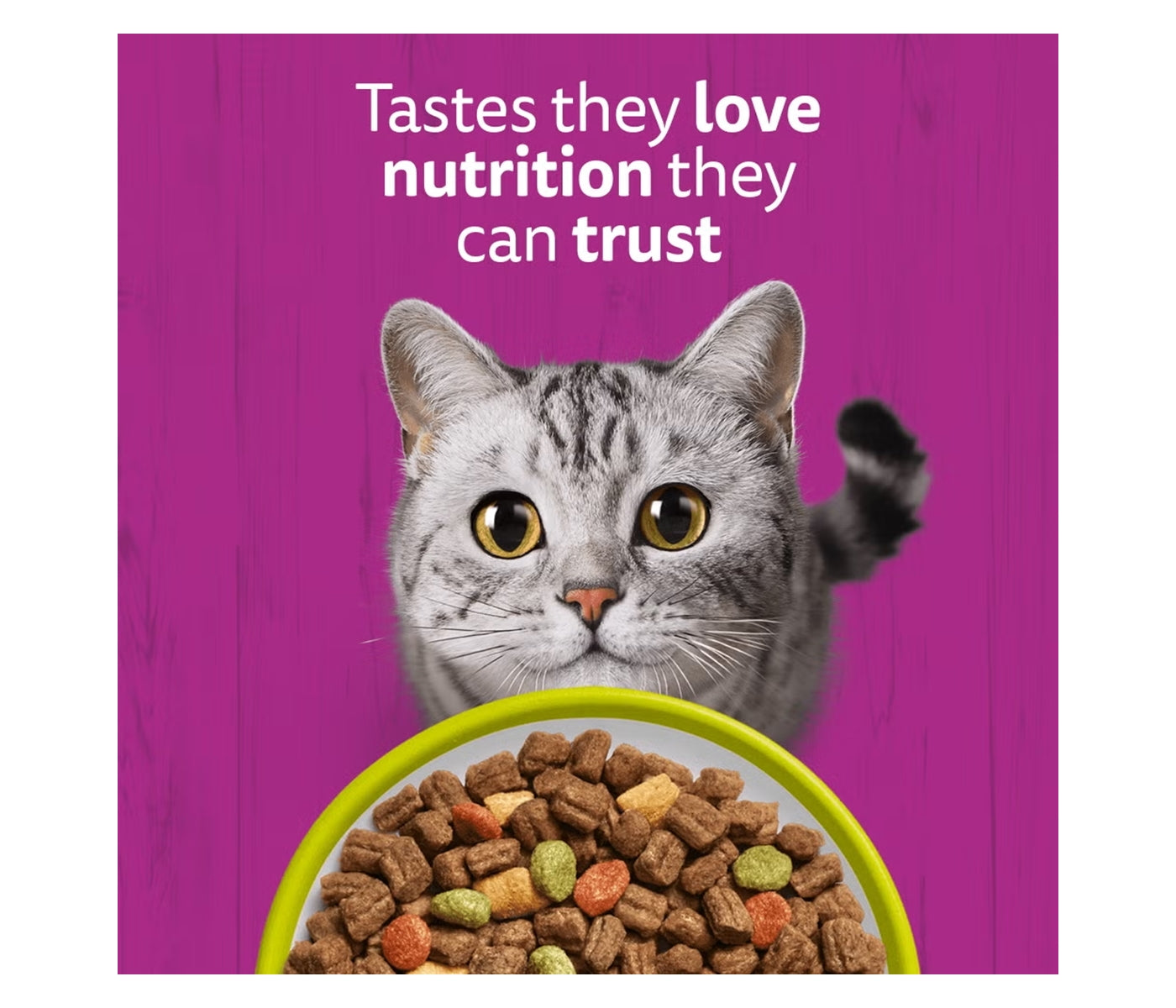 Whiskas - Adult Dry Cat Food with Lamb 1.9kg - Buy Online SPR Centre UK