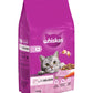 Whiskas - Adult Dry Cat Food with Salmon 1.9kg - Buy Online SPR Centre UK