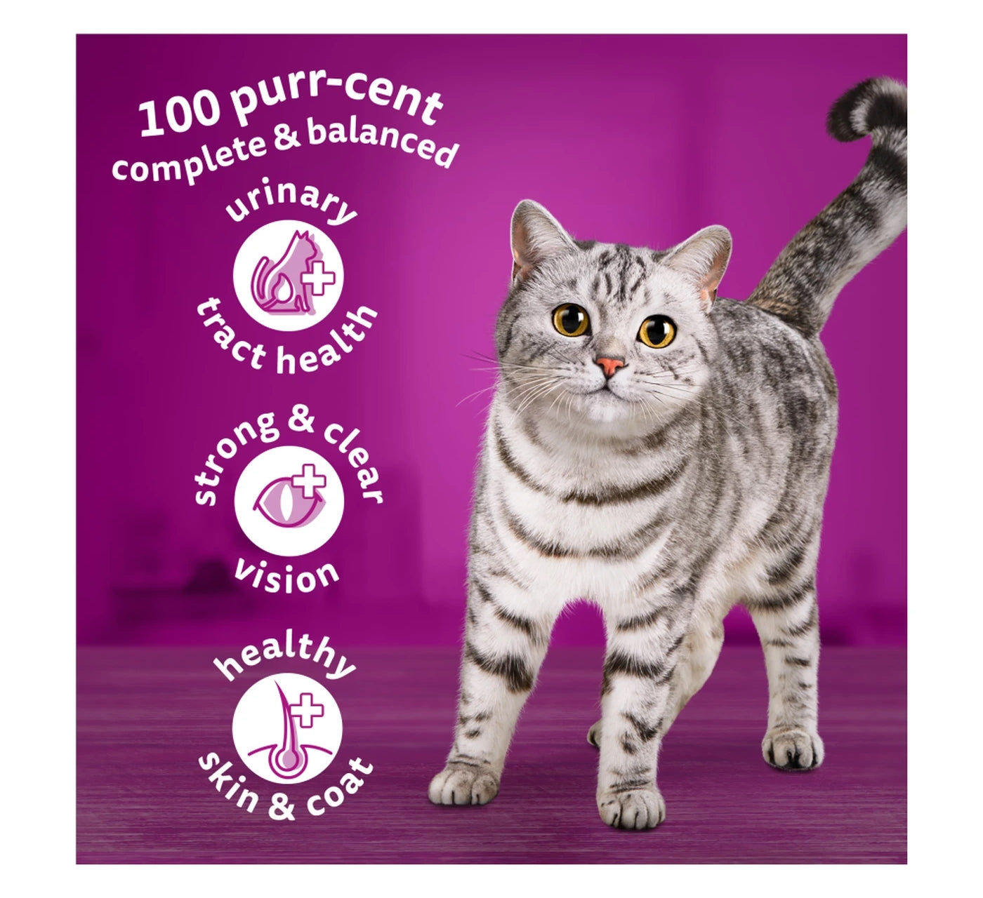 Whiskas - Adult Dry Cat Food with Salmon 1.9kg - Buy Online SPR Centre UK