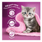 Whiskas Kitten Dry Food with Chicken 1.9kg - Buy Online SPR Centre UK
