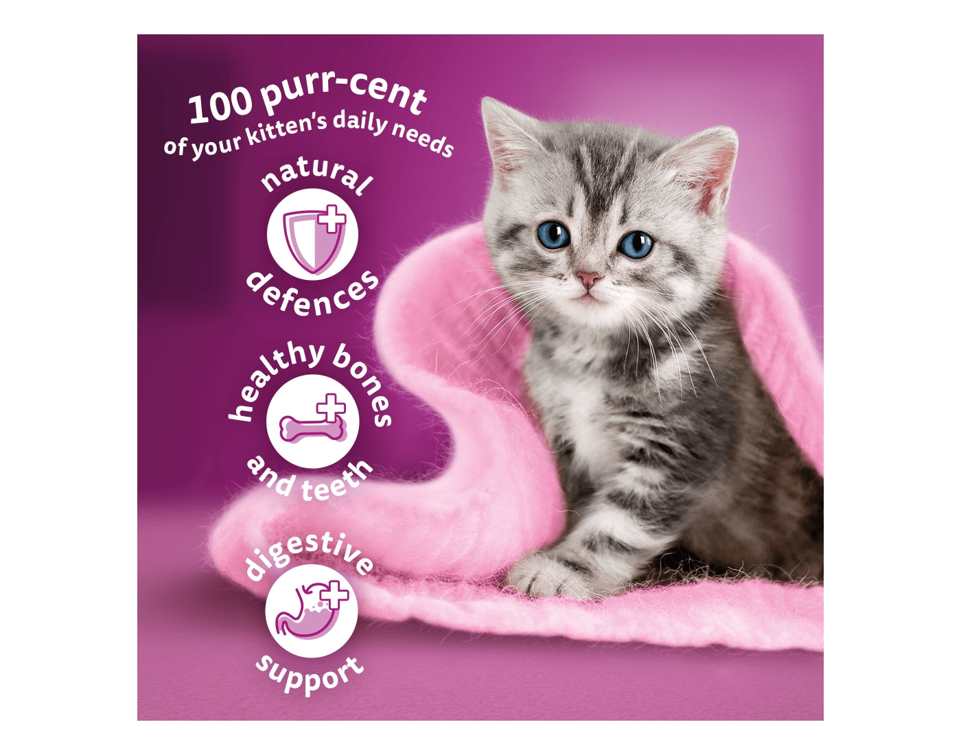 Whiskas Kitten Dry Food with Chicken 1.9kg - Buy Online SPR Centre UK