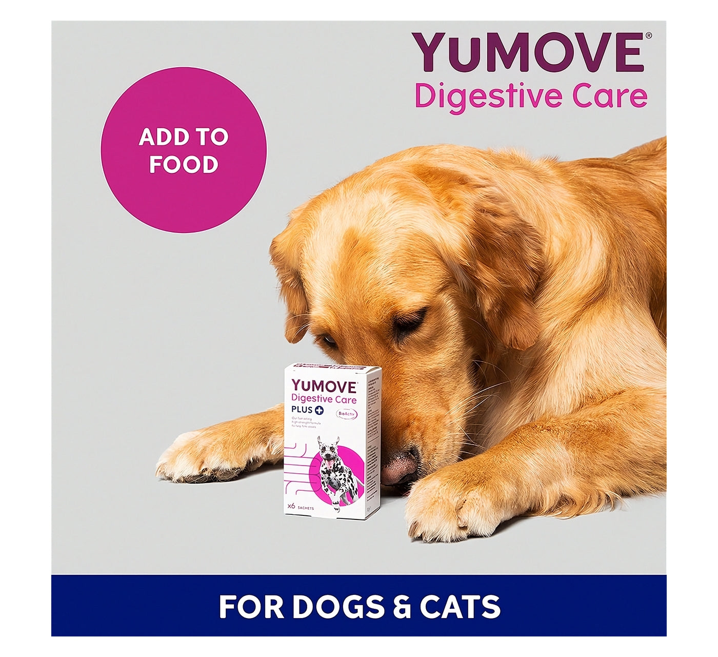 YuMOVE - Digestive Care PLUS for Dogs & Cats - 6 Sachets - Buy Online SPR Centre UK