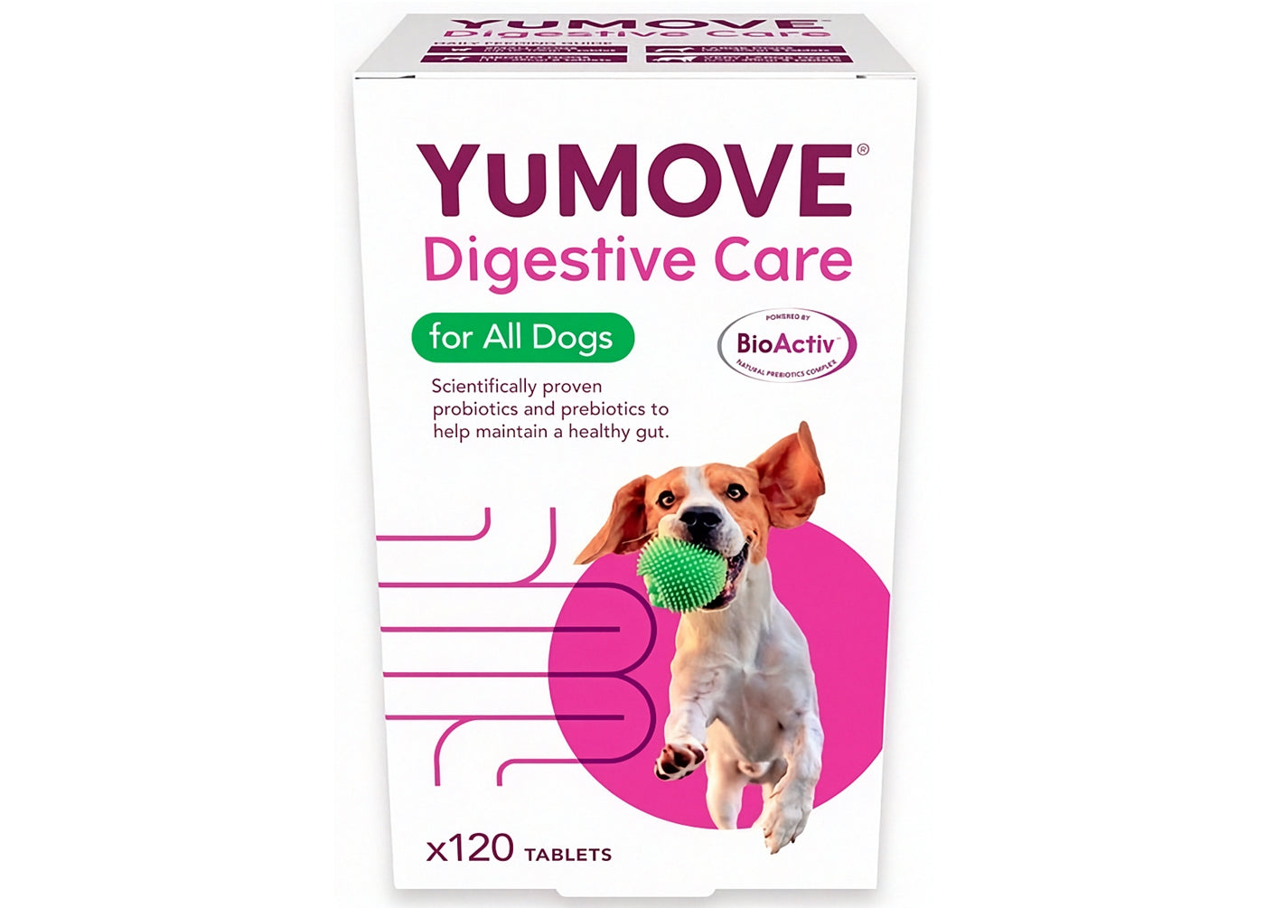 YuMOVE - Digestive Care for All Dogs 120 Tablets - Buy Online SPR Centre UK