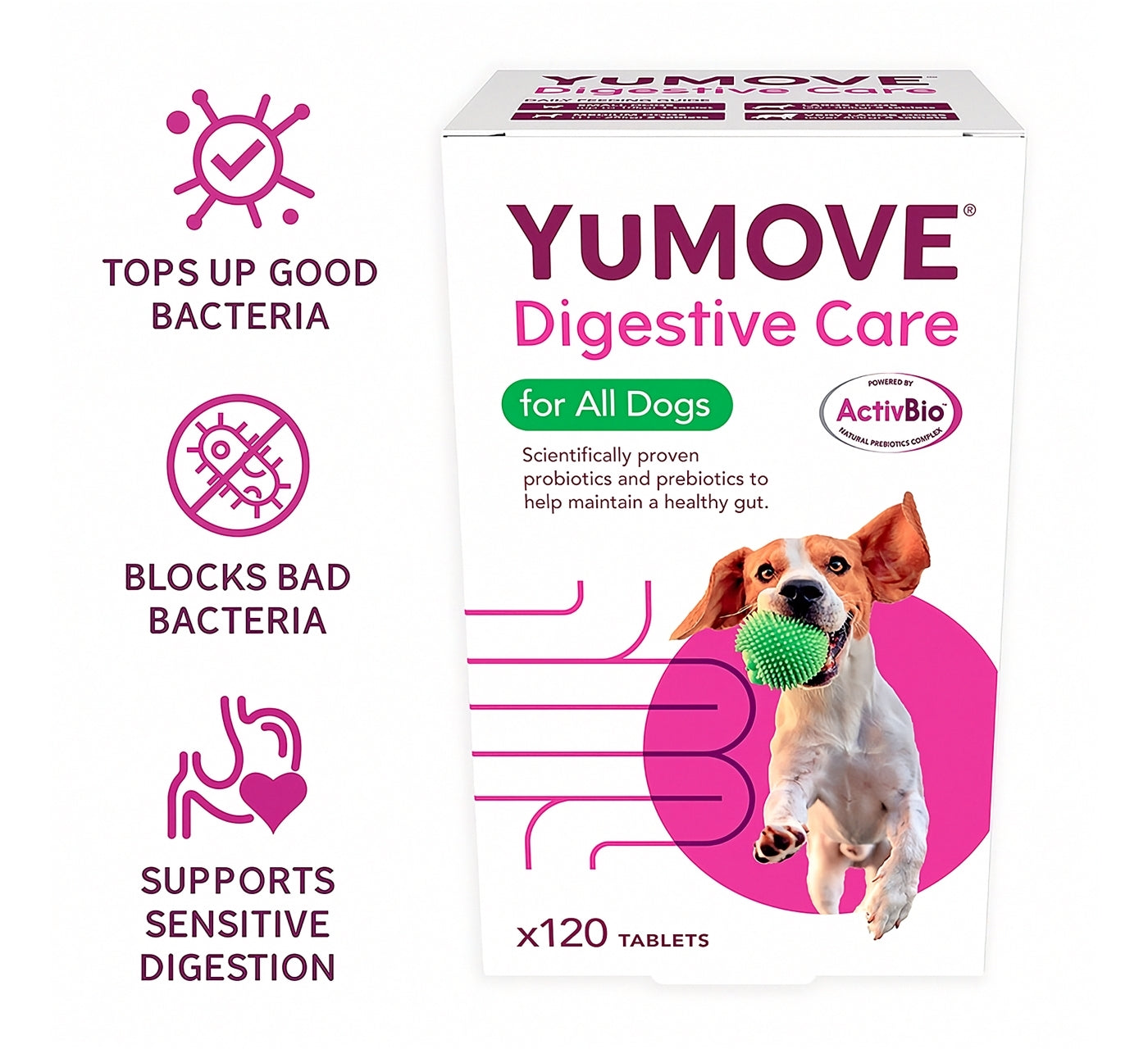 YuMOVE - Digestive Care for All Dogs 120 Tablets - Buy Online SPR Centre UK