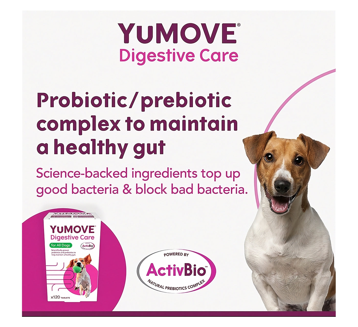 YuMOVE - Digestive Care for All Dogs 120 Tablets - Buy Online SPR Centre UK