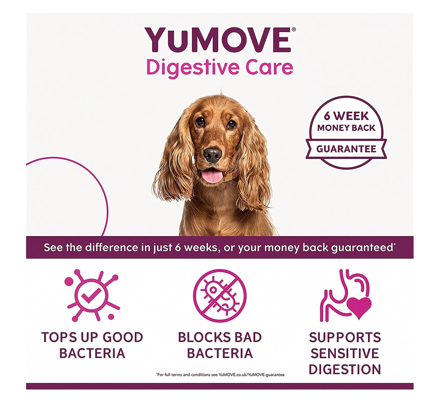 YuMOVE - Digestive Care for All Dogs 120 Tablets - Buy Online SPR Centre UK