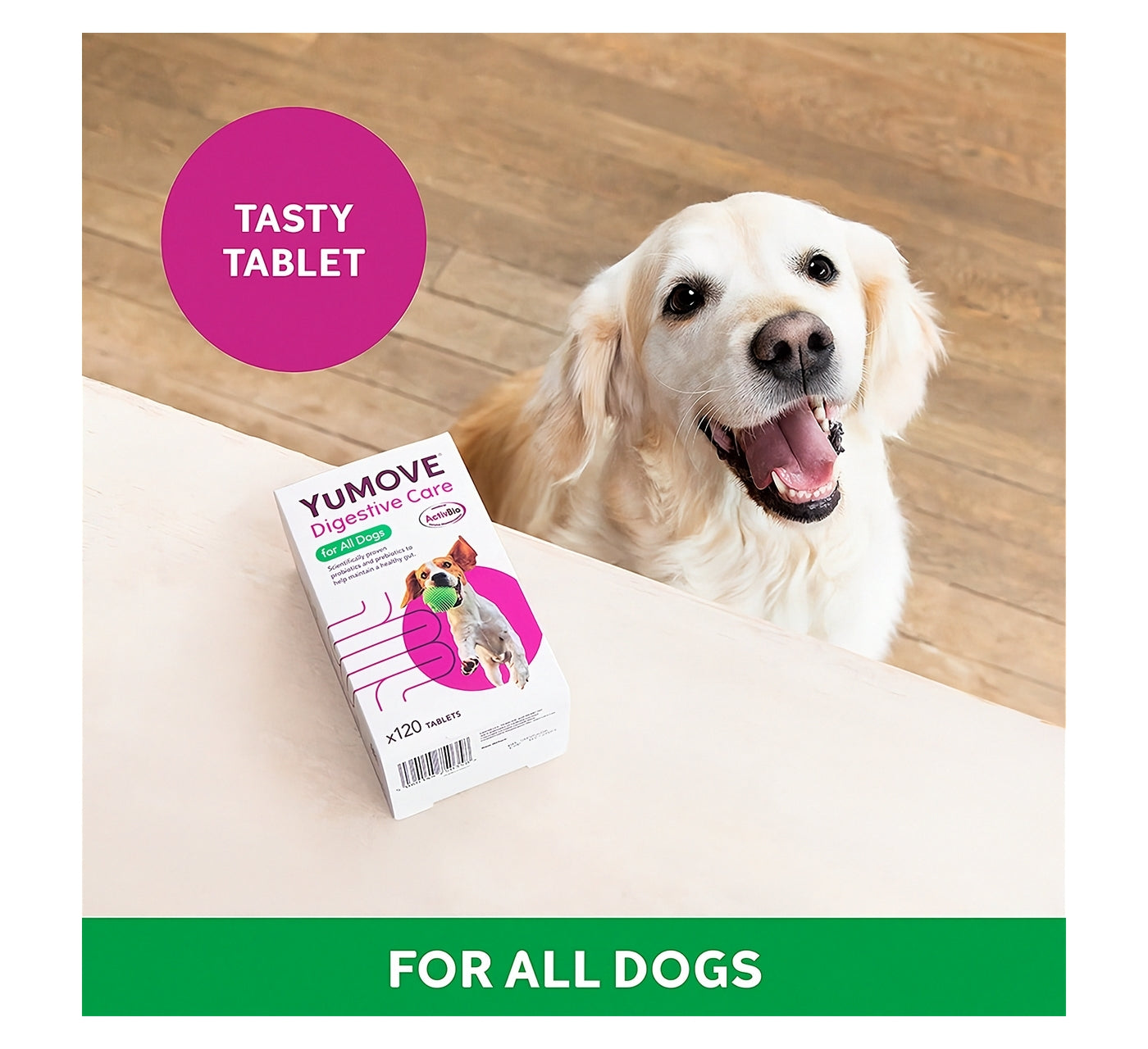 YuMOVE - Digestive Care for All Dogs 120 Tablets - Buy Online SPR Centre UK