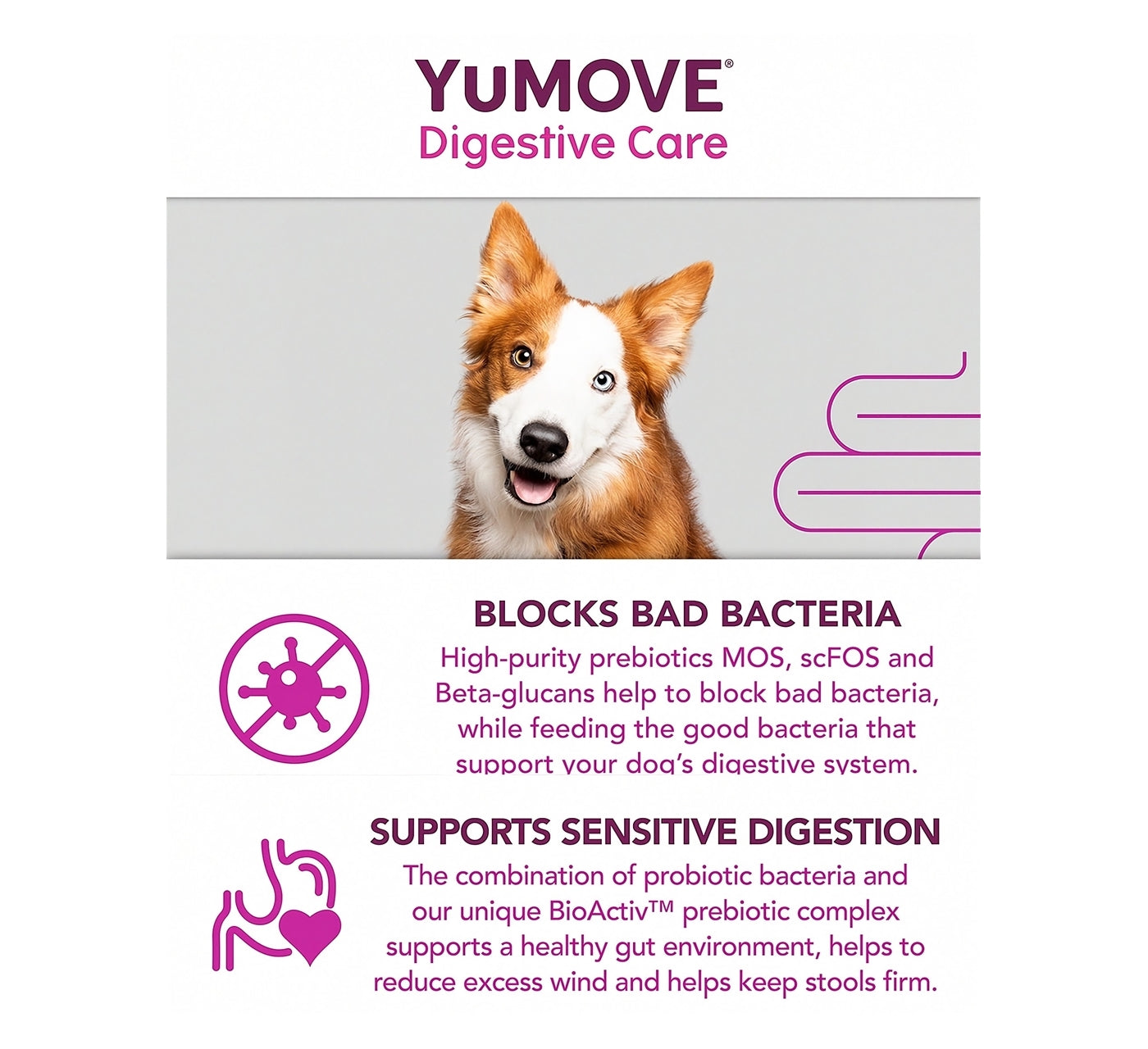 YuMOVE - Digestive Care for All Dogs 120 Tablets - Buy Online SPR Centre UK