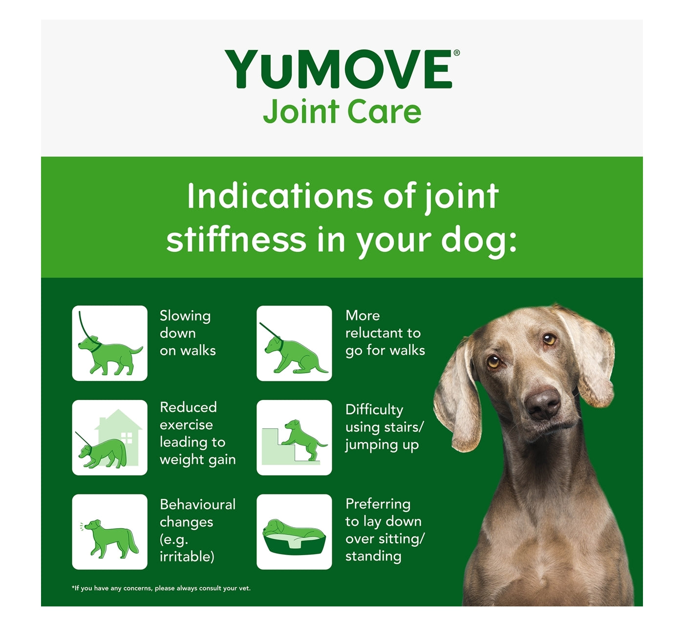 YuMOVE - Joint Care for Adult Dogs (60 Tablets) - Buy Online SPR Centre UK