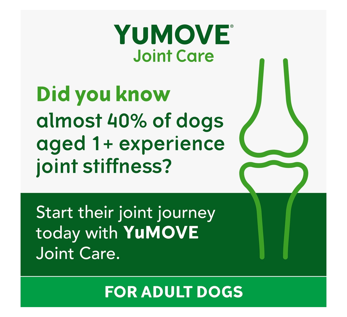 YuMOVE - Joint Care for Adult Dogs (60 Tablets) - Buy Online SPR Centre UK