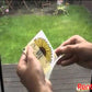 Rentokil - Advanced Fly Trap Window Sticker (4 Pack)