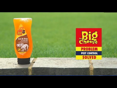 The Big Cheese - Cat & Dog Crystal Gel - Buy Online SPR Centre UK