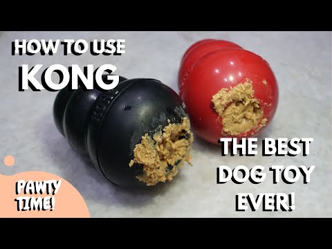 KONG Senior - Dog Toy (Medium) - Buy Online SPR Centre UK