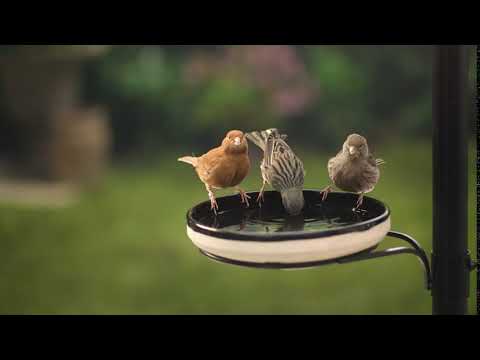 Gardman - Heavy Duty Seed Feeder - Buy Online SPR Centre UK