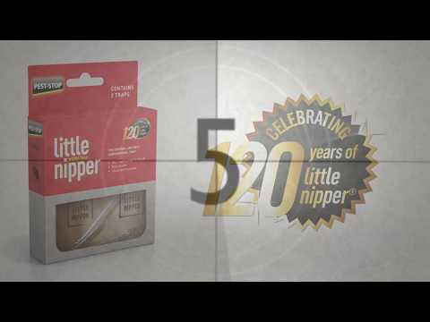 Pest Stop - Little Nipper® Mouse Trap - Buy Online SPR Centre UK