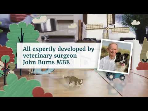 Burns - Sensitive Adult/Senior Dog Food (Turkey & Potato) - Buy Online SPR Centre UK