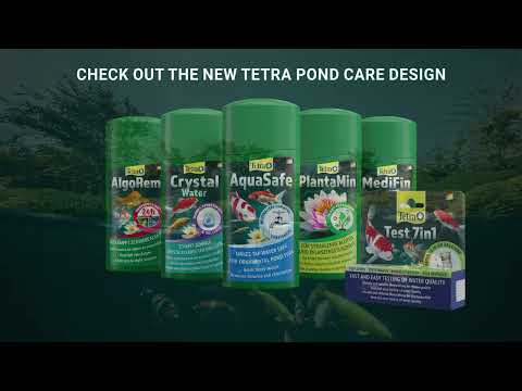 Tetra Pond - AquaSafe - Buy Online SPR Centre UK
