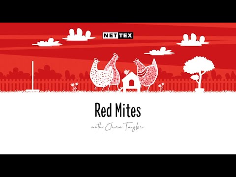 Nettex - Total Mite Kill - Ready To Use Spray - Buy Online SPR Centre UK