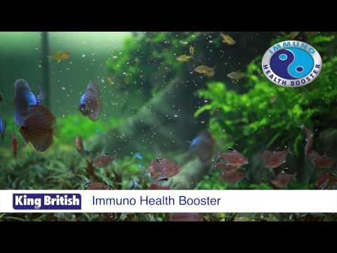 King british tropical fish food hot sale