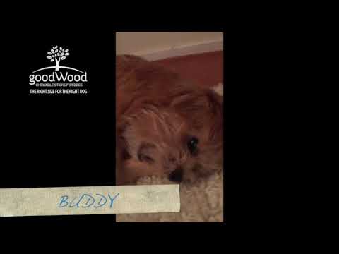 Pet's Up - GoodWood (Chew Sticks for Dogs) - Buy Online SPR Centre UK