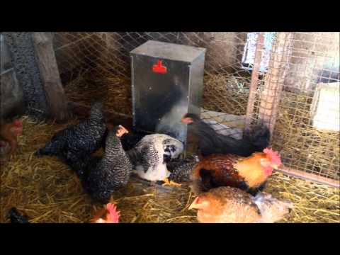 Alma Basica - Poultry Treadle Feeders - Buy Online SPR Centre UK