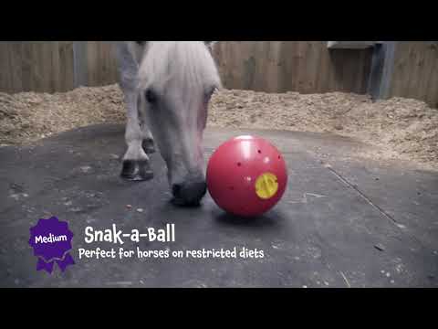 Likit Snak-a-Ball (Purple/Lilac) | Horse Treat Toy - Buy Online SPR Centre UK