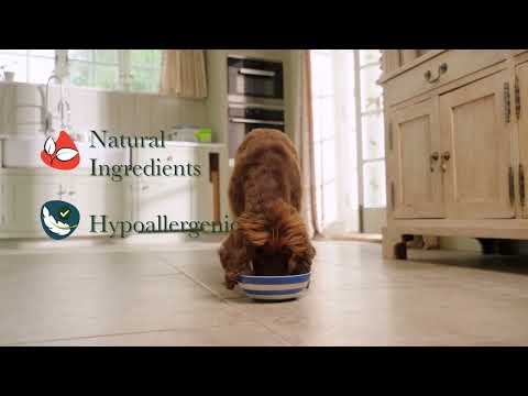 Forthglade British Classics - Hearty Turkey Stew for Dogs - Buy Online SPR Centre UK