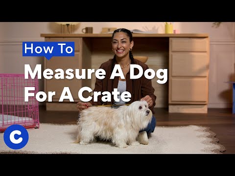 Buying a crate hot sale for a puppy