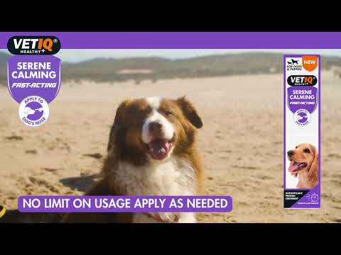 VETIQ - Serene Calming Ointment for Dogs - Buy Online SPR Centre UK
