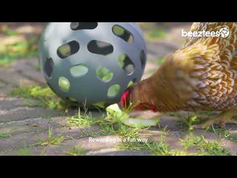 Beeztees - Chicken Snack Ball - Buy Online SPR Centre UK