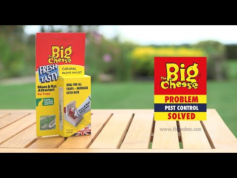 The Big Cheese - Fresh 'N Tasty Mouse & Rat Attractant - Buy Online SPR Centre UK