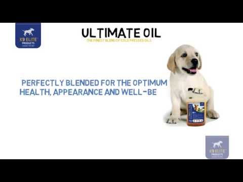 KM Elite - Canine Ultimate Oil - 500ml - Buy Online SPR Centre UK