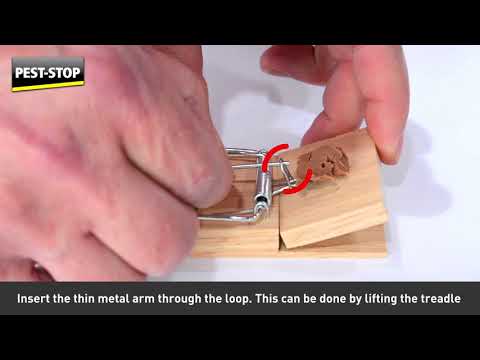 Pest Stop - Little Nipper® Mouse Trap - Buy Online SPR Centre UK