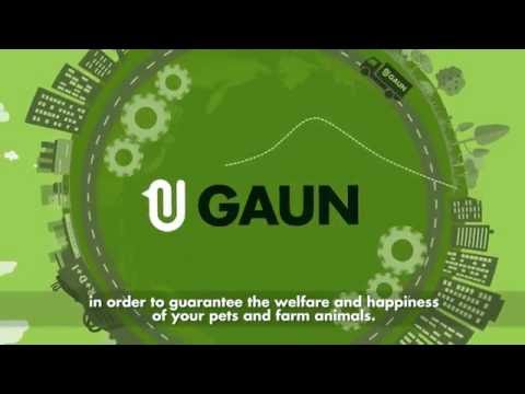 Gaun - Chick Feeder 2kg Capacity | Poultry Feeders - Buy Online SPR Centre UK