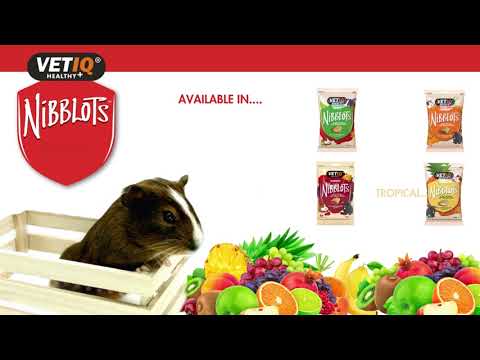 VetIQ Berries Nibblots | Small Pet Treats - Buy Online SPR Centre UK
