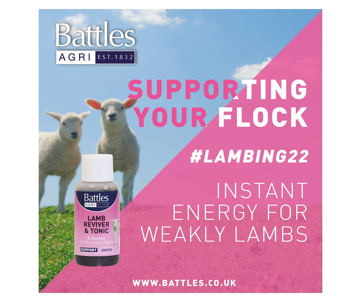 Battles - Lamb Reviver and Tonic - Buy Online SPR Centre UK