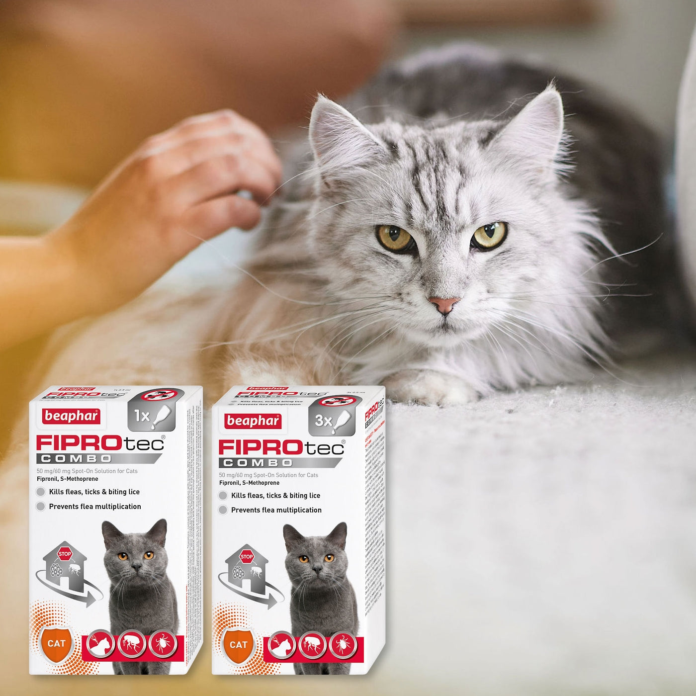Beaphar FIPROtec COMBO Flea Tick Spot On for Cats Buy Online SPR Centre UK